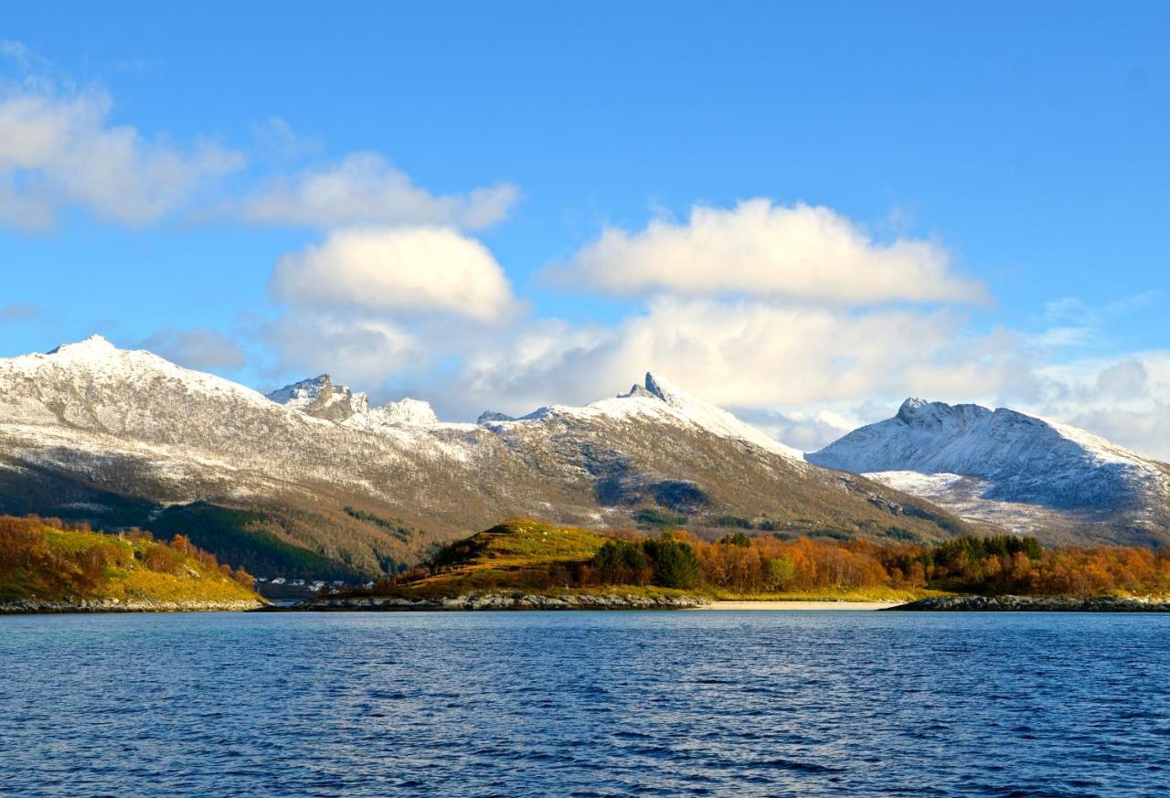 Hotel Hamn I Senja Extérieur photo